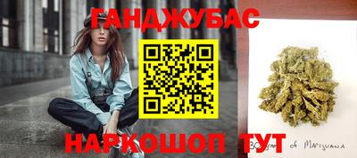 бошки Шелехов