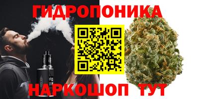 бошки Шелехов