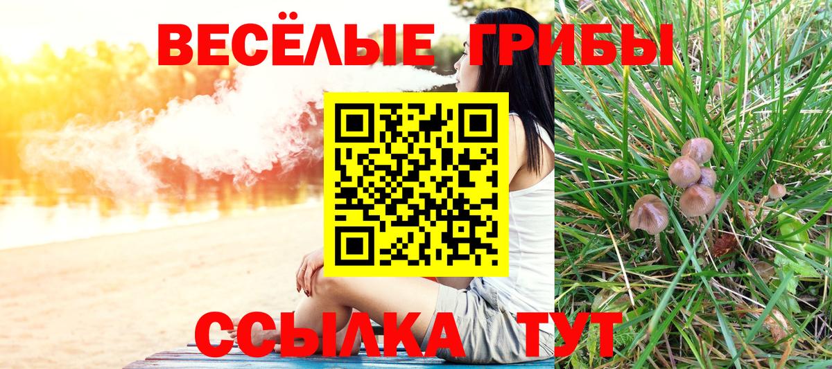 Белгород  Псилоцибиновые грибы Cubensis  Псилоцибиновые грибы GOLDEN TEACHER  Вход с VPN 